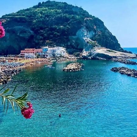Mare Nostrum - Beachfront House - Sant'Angelo Ischia Eksteriør bilde