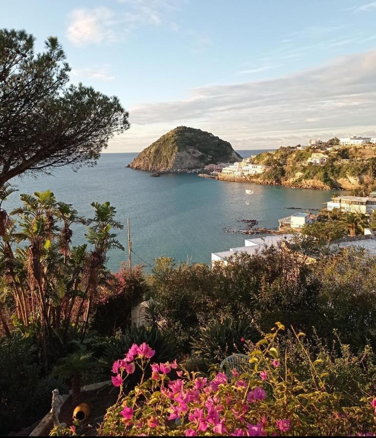 Mare Nostrum - Beachfront House - Sant'Angelo Ischia Eksteriør bilde