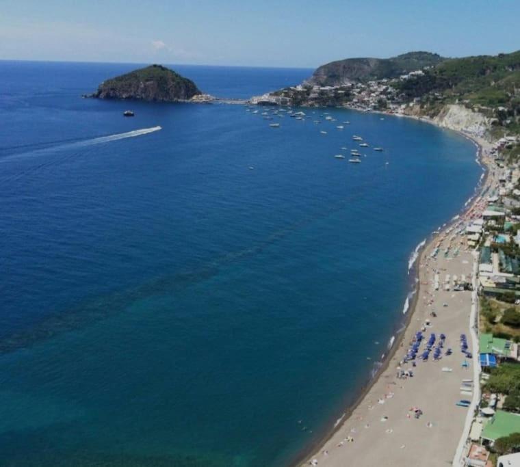 Mare Nostrum - Beachfront House - Sant'Angelo Ischia Eksteriør bilde