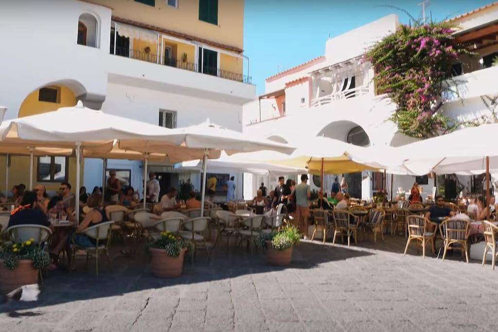Mare Nostrum - Beachfront House - Sant'Angelo Ischia Eksteriør bilde