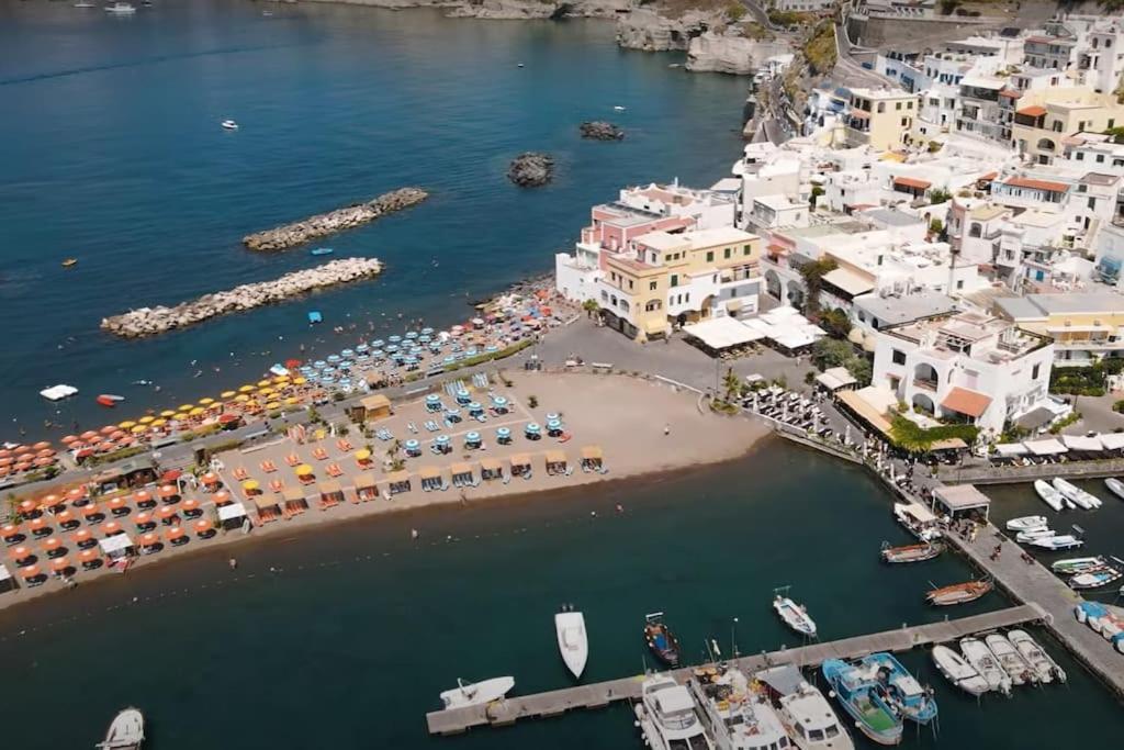 Mare Nostrum - Beachfront House - Sant'Angelo Ischia Eksteriør bilde